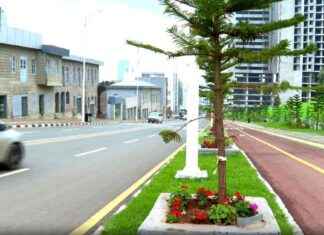 Water shortage in cities of Ethiopia due to priority given to street trees and flowers: Report water-shortage-in-cities-of-ethiopia-due-to-priority-given-to-street-trees-and-flowers-report