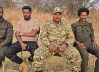 Effective Ways to Improve Your Instagram Engagement: A Comprehensive Guide effective-ways-to-mprove-your-nstagram-engagement-a-comprehensive-guide