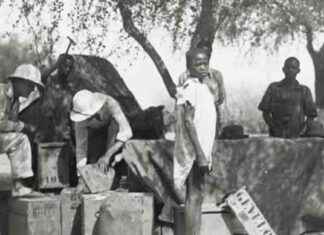 How African Artifacts from the 1930s are Being Preserved: Insights from Ethiopia Observer how-african-artifacts-from-the-1930s-are-being-preserved-nsights-from-ethiopia-observer