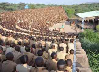 Top 9 Health Benefits of Berries: Ultimate Guide top-9-health-benefits-of-berries-ultimate-guide